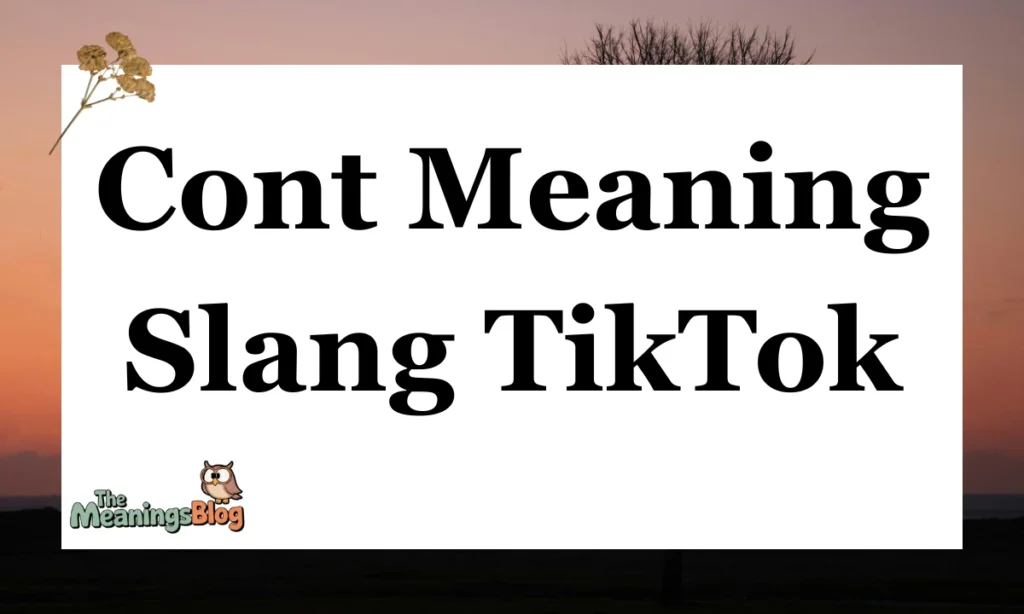 Cont Meaning Slang TikTok