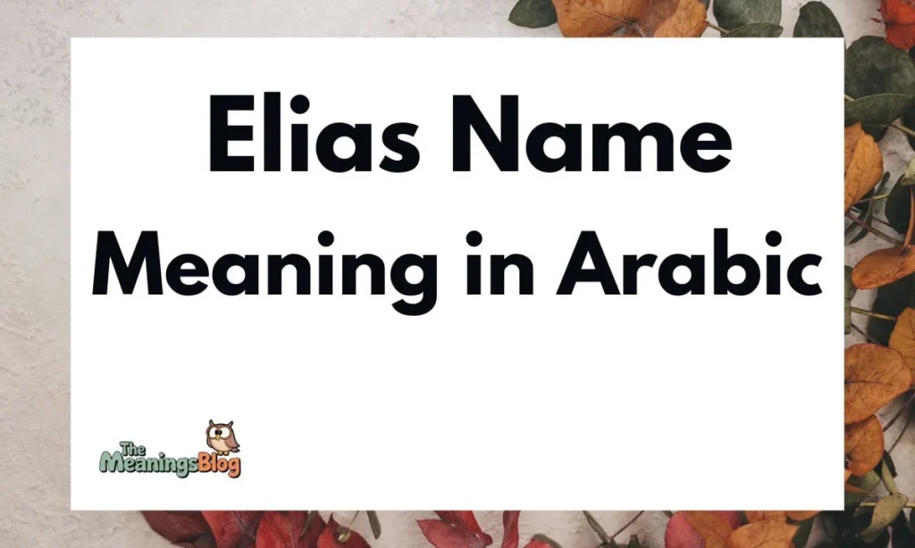 Elias Name Meaning in Arabic