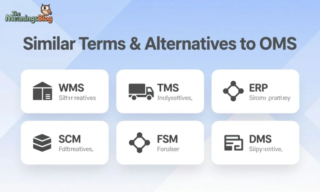 Similar Terms & Alternatives to OMS