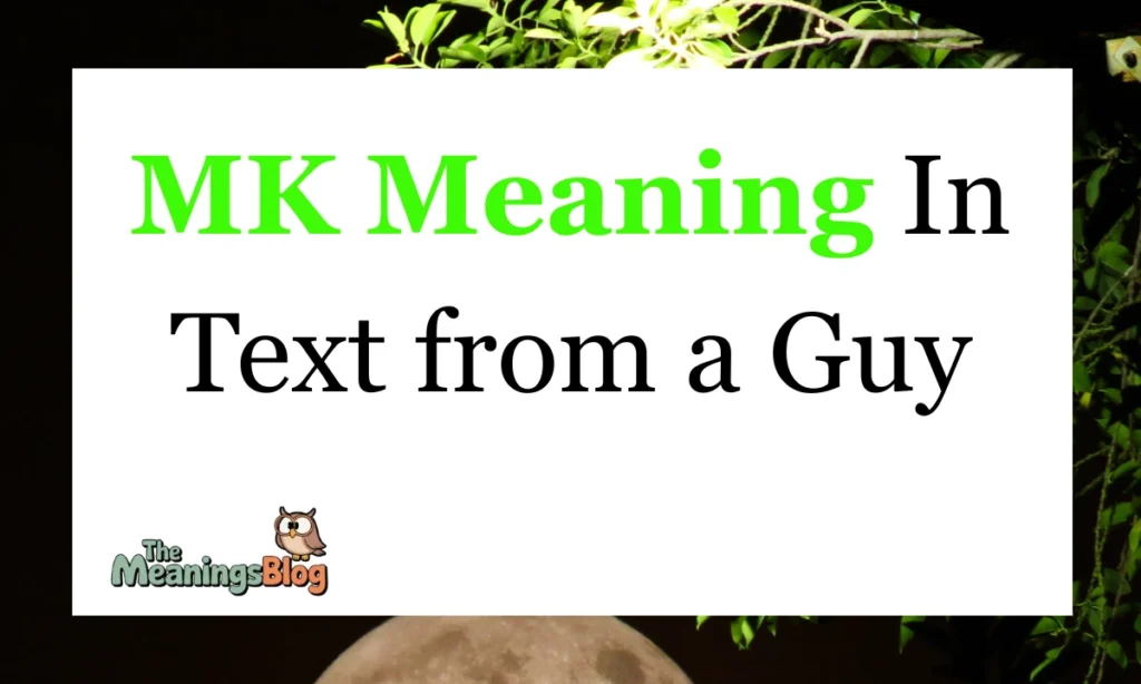MK Meaning In Text from a Guy