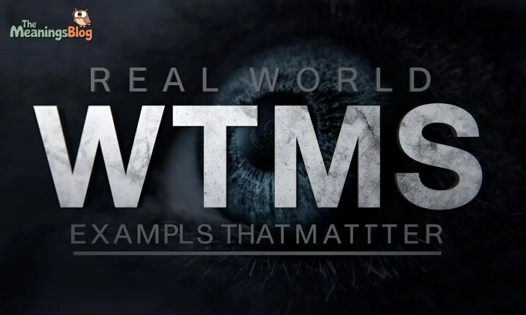 Real-World WTMS Examples That Matter
