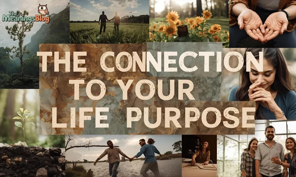 The Connection to Your Life Purpose
