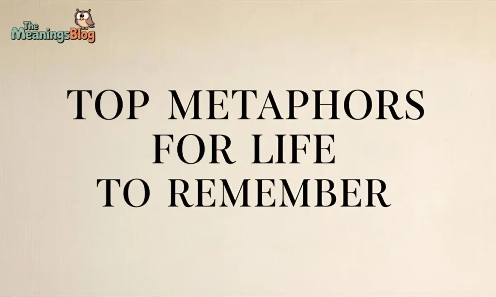 Top Metaphors For Life To Remember