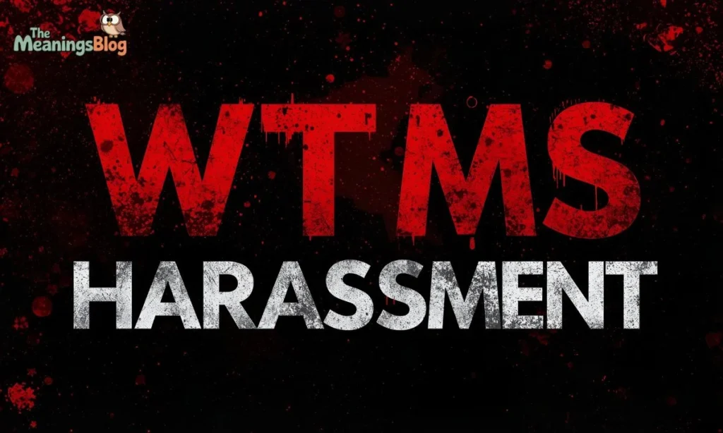 When WTMS Becomes Harassment