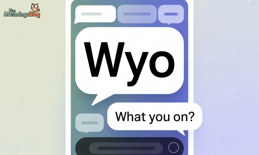 Why Do People Use WYO?