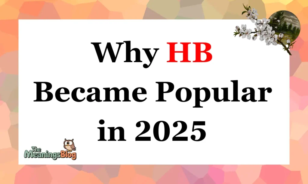 Why HB Became Popular in 2025