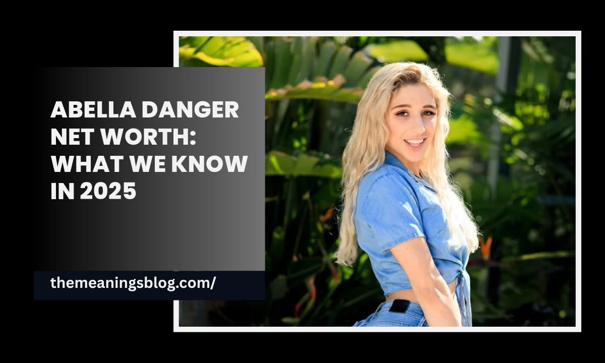 Abella Danger Net Worth: What We Know In 2025