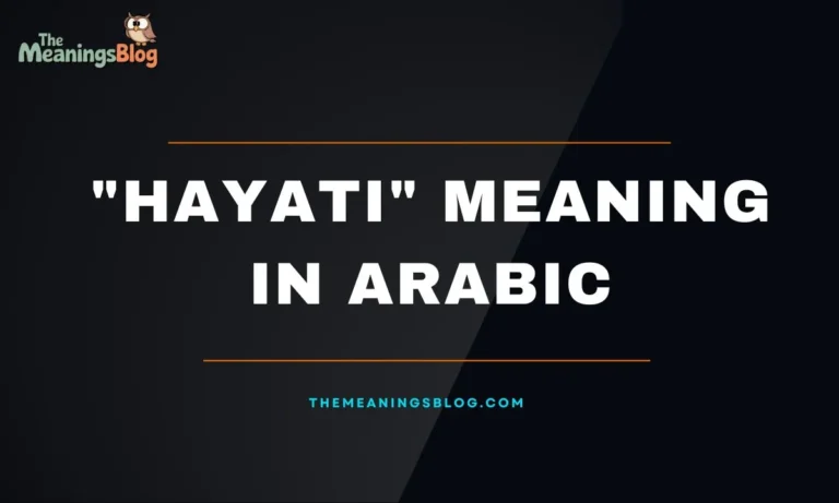 The Word "Hayati" Meaning in Arabic With Examples