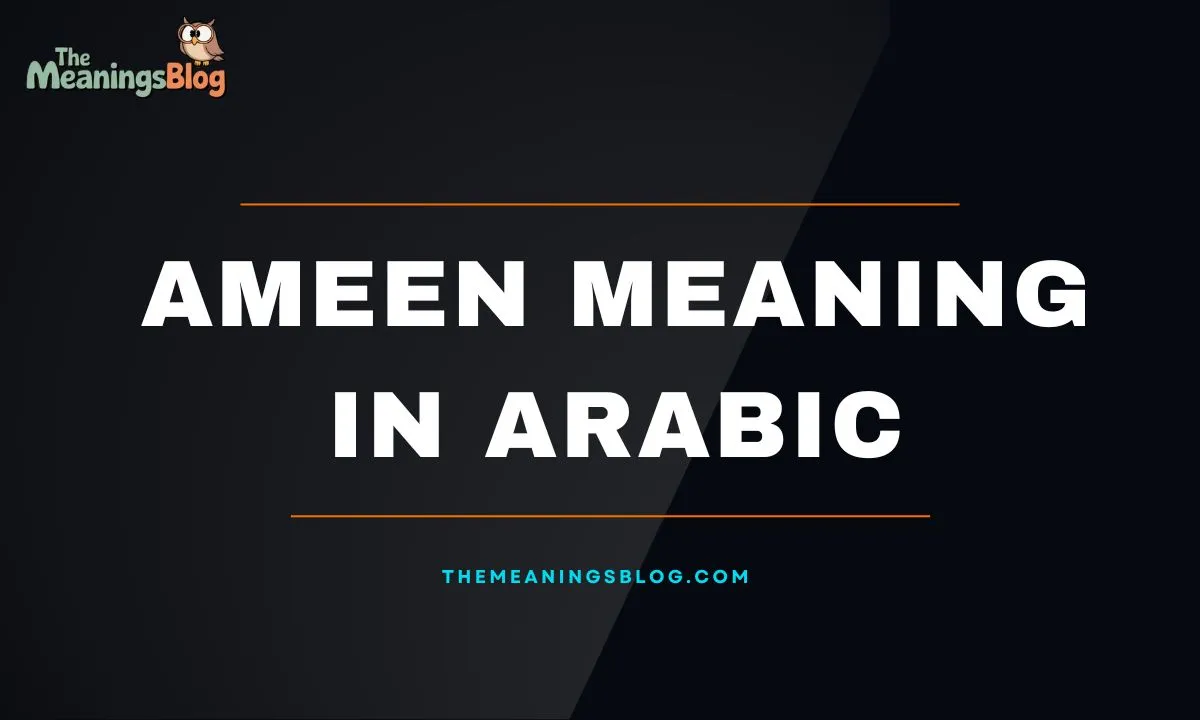 The Word Ameen Meaning in Arabic With Examples