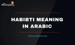 The Word Habibti Meaning in Arabic With Examples