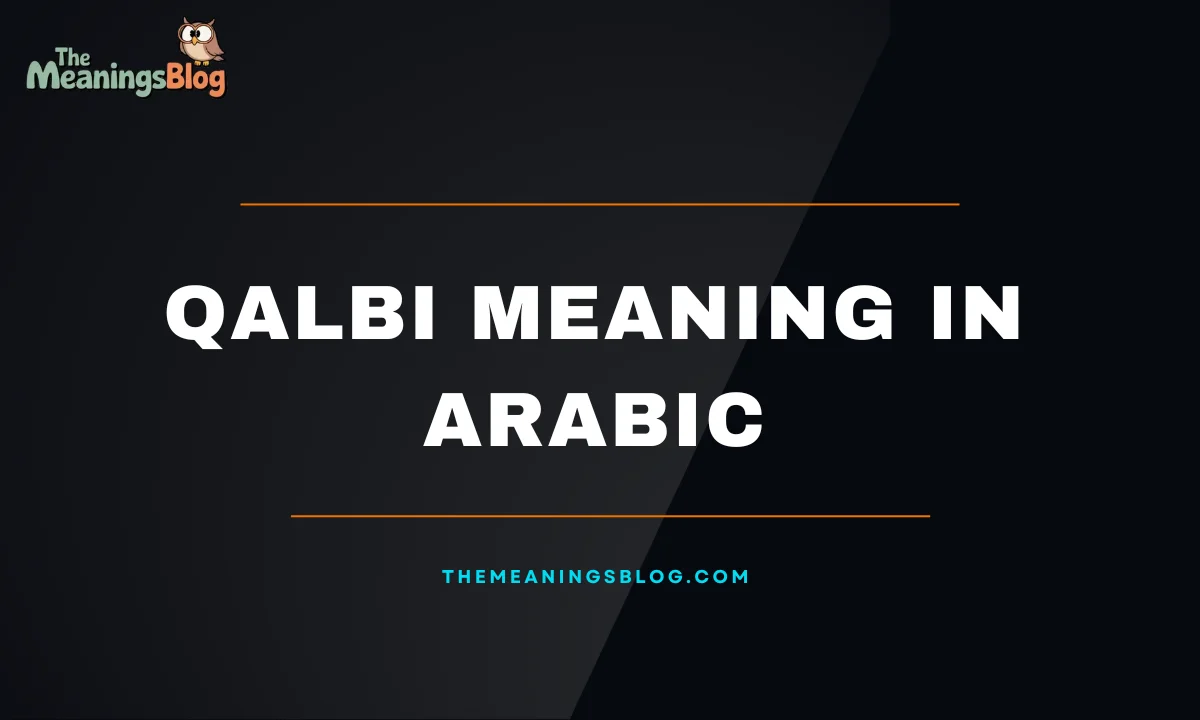 The Word Qalbi Meaning in Arabic With Examples