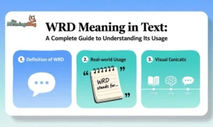 WRD Meaning in Text: A Complete Guide to Understanding Its Usage