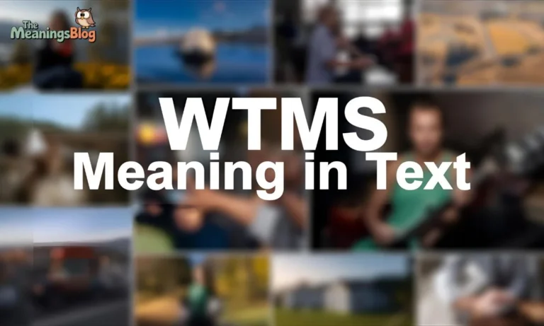 WTMS Meaning in Text: A Complete Guide to Understanding This Popular Acronym
