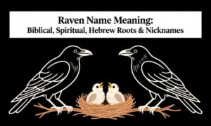 Raven Name Meaning: Biblical, Spiritual, Hebrew Roots & Nicknames